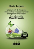 Gli strumenti di attuazione della politica europea in ambito energetico-ambientale: il contributo della Magaldi Industrie